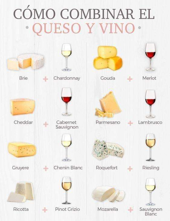 divinapropor's tweet photo. Lunes de vinitos? https://t.co/ws1dTTuyoZ