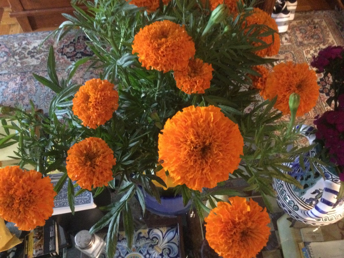 Today flowers from a farmer market!