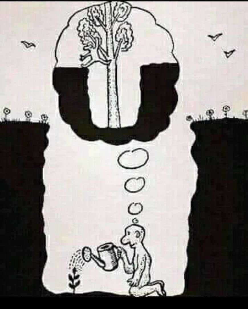 أن ما تصنعهُ اليومَ كفيلاً بإنقاذك غداً..

نحن نؤسس لفكرة 

#صندوق_الشباب_الاستثماري 

نزرع اليوم الفكرة ليحصدها أبنائنا غداً.