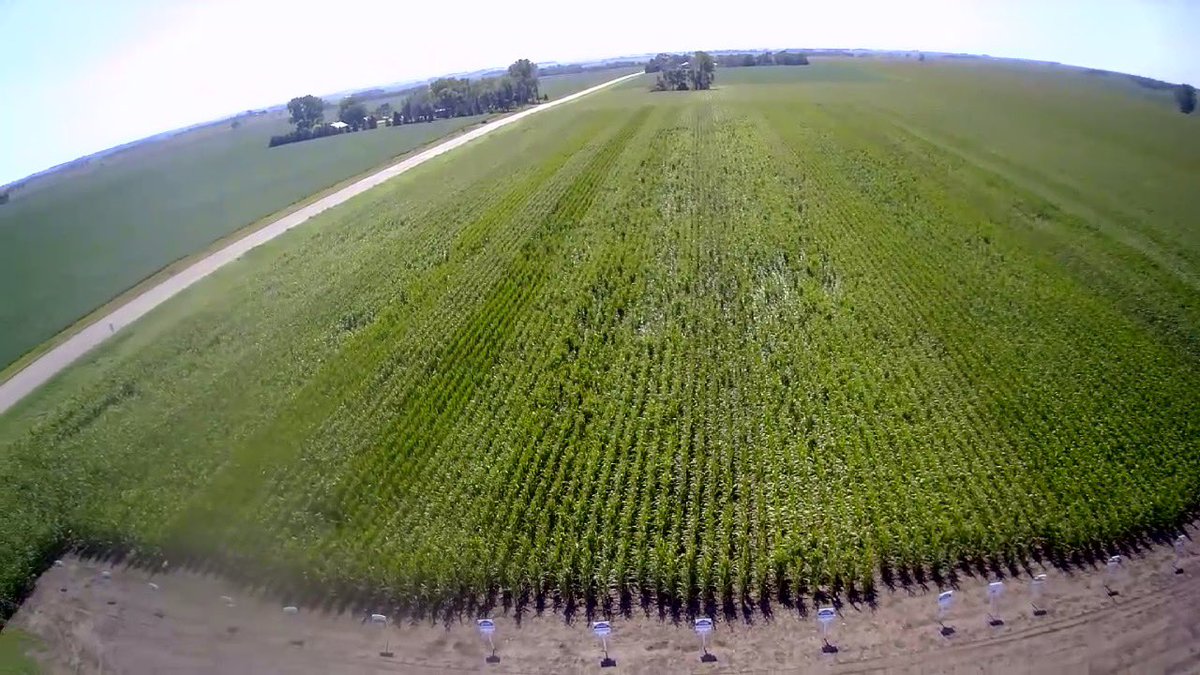 Tanner Skattum tweet media