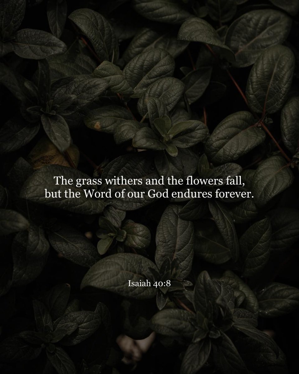 YouVersion Bible App tweet media