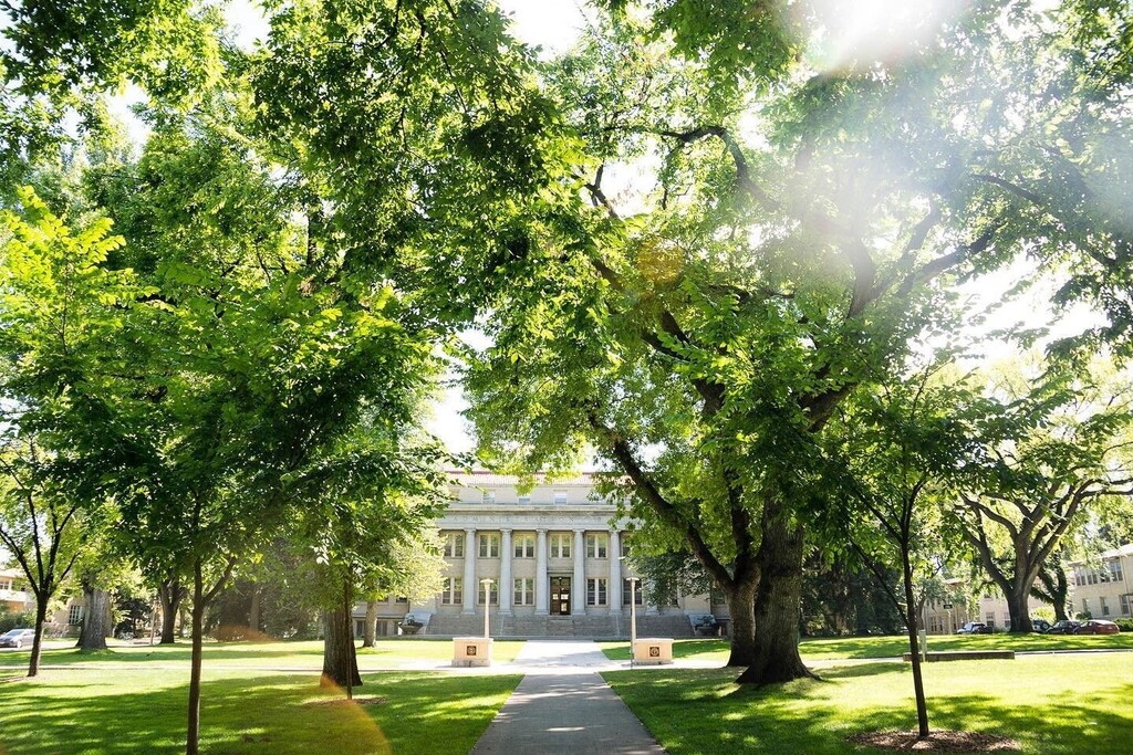 🌳 🐏 Fort Collins is home to beautiful Colorado State University and we're so excited to have the student back in town. The Oval is a stunning setting to lay down on the lush green grass and look up at the majestic American elms and the bright blue sk… instagr.am/p/ChlNb6Urrkt/