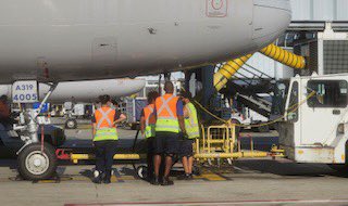Hermes Pineda (@hermespinedaua) on Twitter photo Ramp New hires spending their last week of training being mentored by skilled leads and sups on all fleet types, equipment, safety and SOP. Kudos to Asst. Mgr. Mike C and Supv. Casey Lejas for making this program a reality. <a href="/weareunited/">We Are United</a> <a href="/MikeCklamovski1/">World’s Best Hub ORD</a> <a href="/ferrer_modesto/">Modesto Ferrer</a> Ramp New hires spending their last week of training being mentored by skilled leads and sups on all fleet types, equipment, safety and SOP. Kudos to Asst. Mgr. Mike C and Supv. Casey Lejas for making this program a reality. <a href="/weareunited/">We Are United</a> <a href="/MikeCklamovski1/">World’s Best Hub ORD</a> <a href="/ferrer_modesto/">Modesto Ferrer</a>