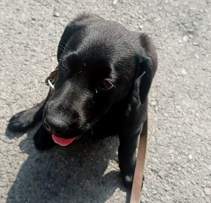 𝙷𝚎𝚕𝚊 𝙼𝚘𝚛𝚎 🐶 tweet media