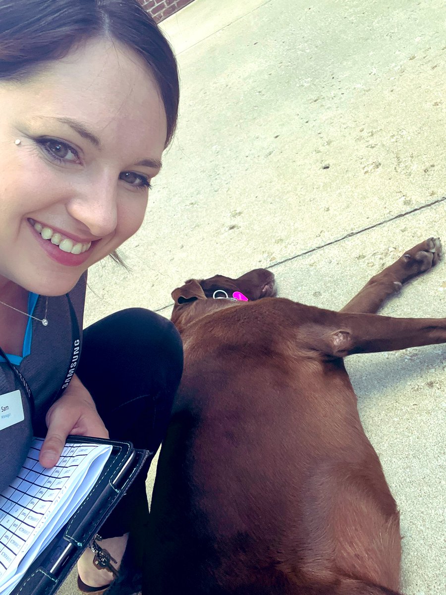 sam abel tweet media