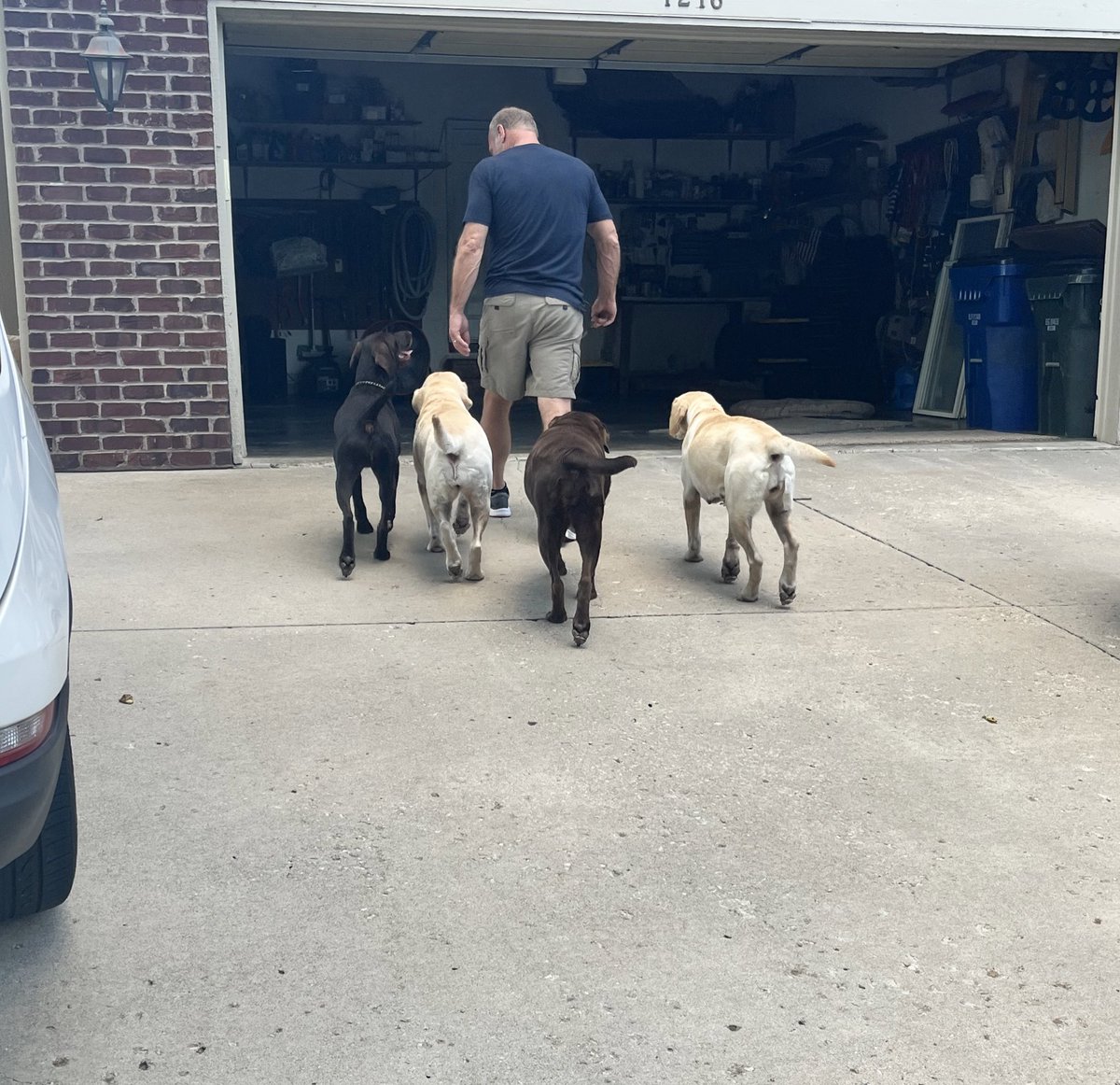 sam abel tweet media