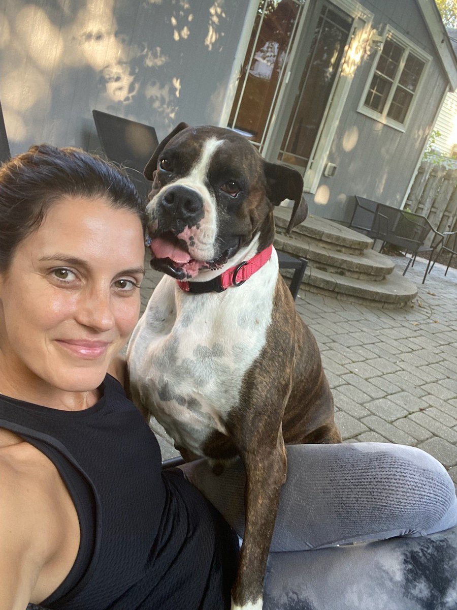 adopt_boxer's tweet photo. Daphne fka Spartan was a quick foster fail . Taken from an Puppy mill last week shes now living the beach life on @CityofRehoboth beach. Living well is the best revenge . Happy life sweet girl. #AdoptDontShop #rescuedog #beachboxer #boxerdog #boxersoftwitter #DogsofTwittter #dog https://t.co/50v5EiRqkD