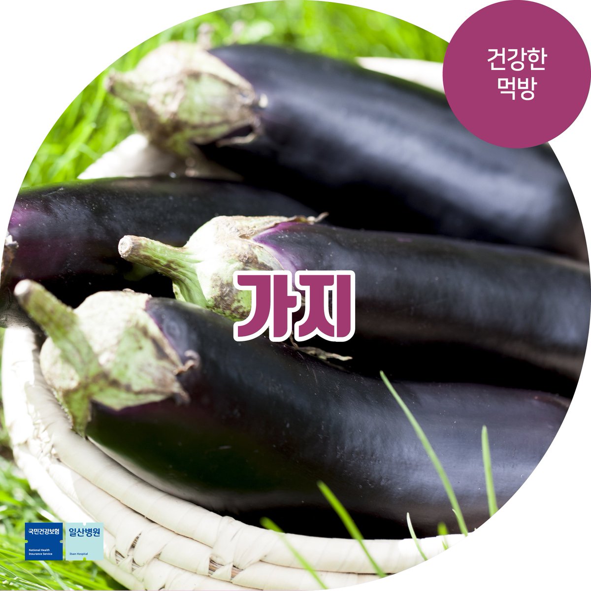 땀 나는 여름!
수분 보충이 필요하다면?

제철 #가지 요리
먹어보세요! 😘

▶️[건강한 먹방] 땀 폭발 여름에 꼭 먹어야 하는 수분 가득 가지 효능
blog.naver.com/hello_health/2…

#일산병원
#가지효능
#국민건강보험일산병원