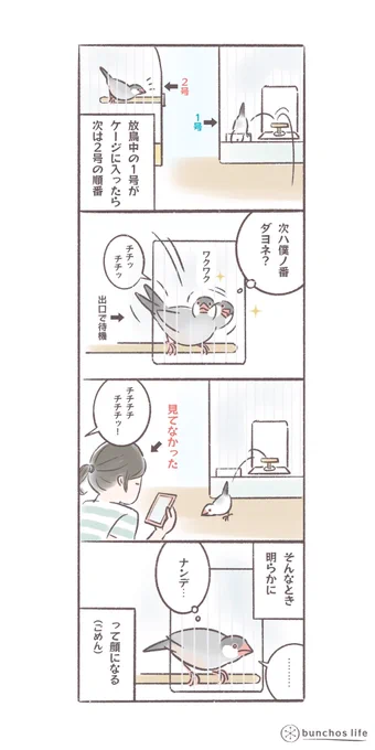 2号は放鳥の順番を理解しているので、1号がケージに入るとチチチと鳴いて教えてくれるのだけど、たまに気付かないでいると「なんで…」という顔になる
#文鳥
#bunchoslife 