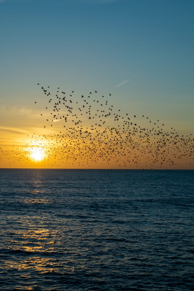 AlltheDeals100's tweet photo. 🌄 Good Morning My Dear Friends 🌄 
🦋 🌹 🥰 Have a Wonderful Day 🥰 🌹 🦋
#nature #NaturePhotography https://t.co/7S2ZuMQw7j