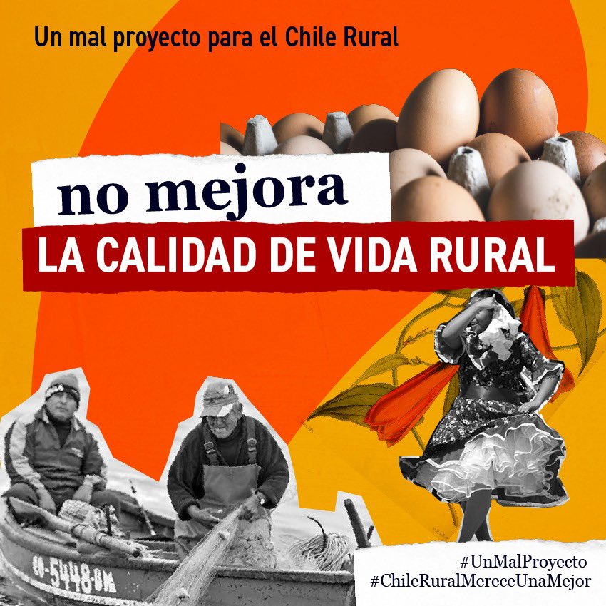 meryundurraga's tweet photo. Todos queremos un cambio. Desde el mundo rural queremos que se mejore la vida de nuestras familias, pero con una mirada sostenible. La Nueva Constitución es #UnMalProyecto, no da lo mismo lo que hagas el 4 de septiembre.
 
#ChileRuralMereceUnaMejor
 
Info https://t.co/JgSfgI9RO5 https://t.co/Co3dxrfY0a