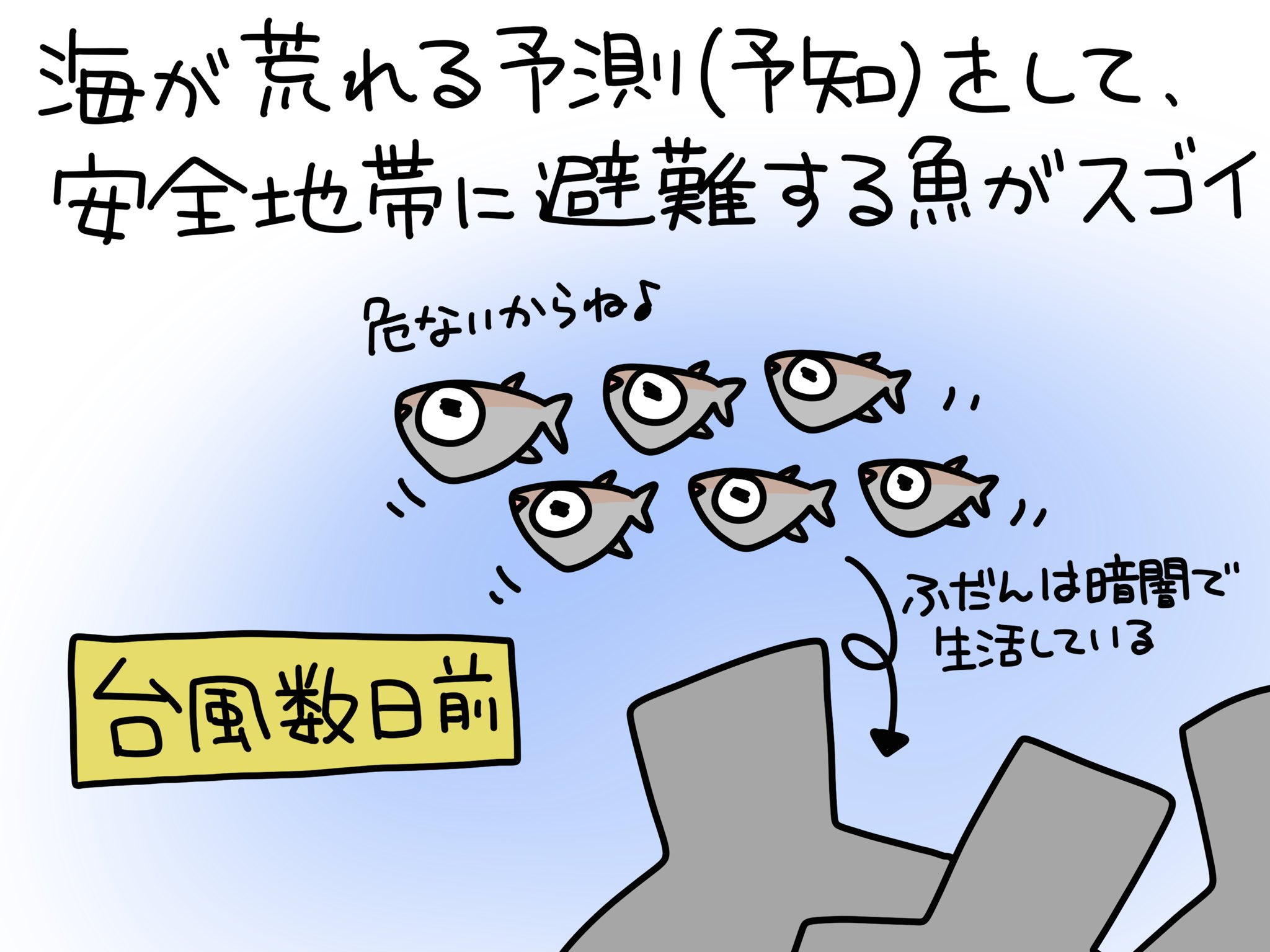 ふくちゃん 魚のイラスト Yawatano Twitter