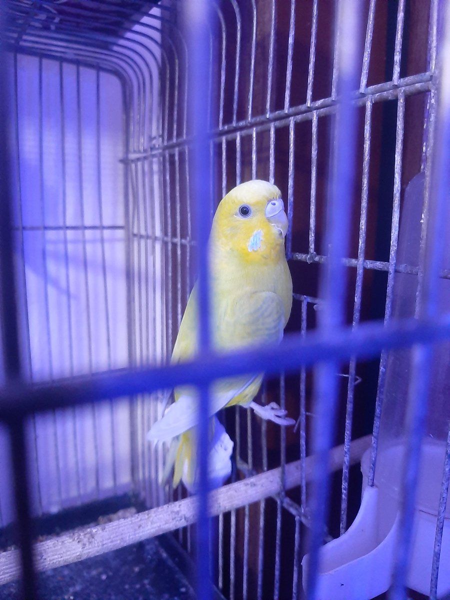 Nasılda manalı manalı bakıyor...