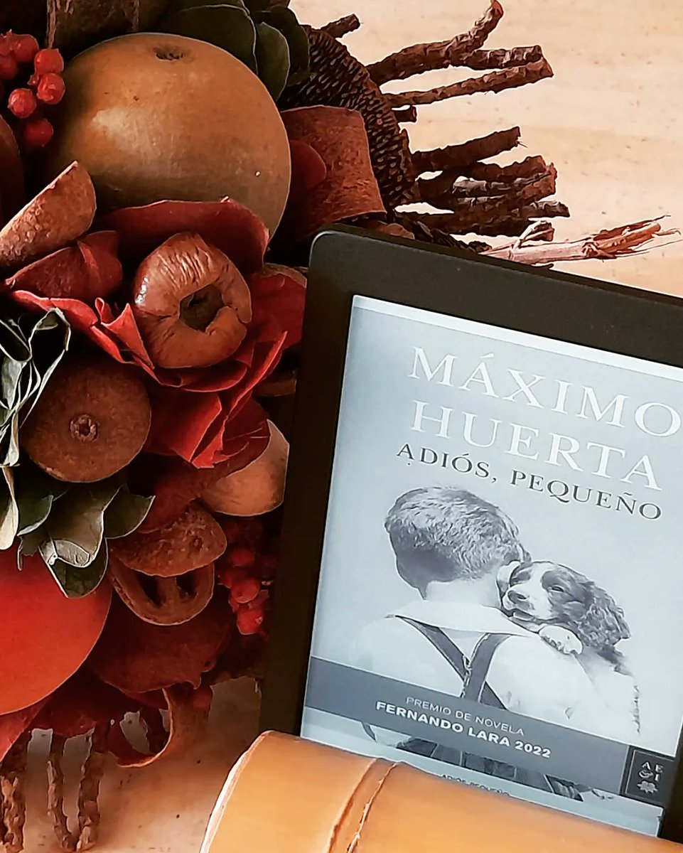 _lectureando's tweet photo. "No escribas lo que sientes, escribe lo que recuerdas y dirás la verdad, como decía no recuerdo quién". "Esta miopía me está haciendo feliz. No veo de lejos y solo me interesa lo que tengo cerca". "No se puede borrar el pasado, pero sí pintarlo, inventarlo y aligerarlo de peso". https://t.co/gM3N7xKBM0