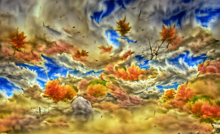 MattCraft_Plays's tweet photo. Started messing around with AI art generation. Started with 'Autumn Sky'. A computer made this... @get_starryai #Autumn #AiArtwork #aiartcommunity https://t.co/JSfGl6EXsx