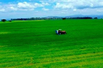 Currently, Ethiopia is the largest producer of wheat in sub-Saharan Africa. The country plans to be self-sufficient and export to other African countries by 2023. #EthiopiaRising <a href="/USAIDEthiopia/">USAID Ethiopia</a> @KatoSecretariat <a href="/PowerUSAID/">Samantha Power</a>