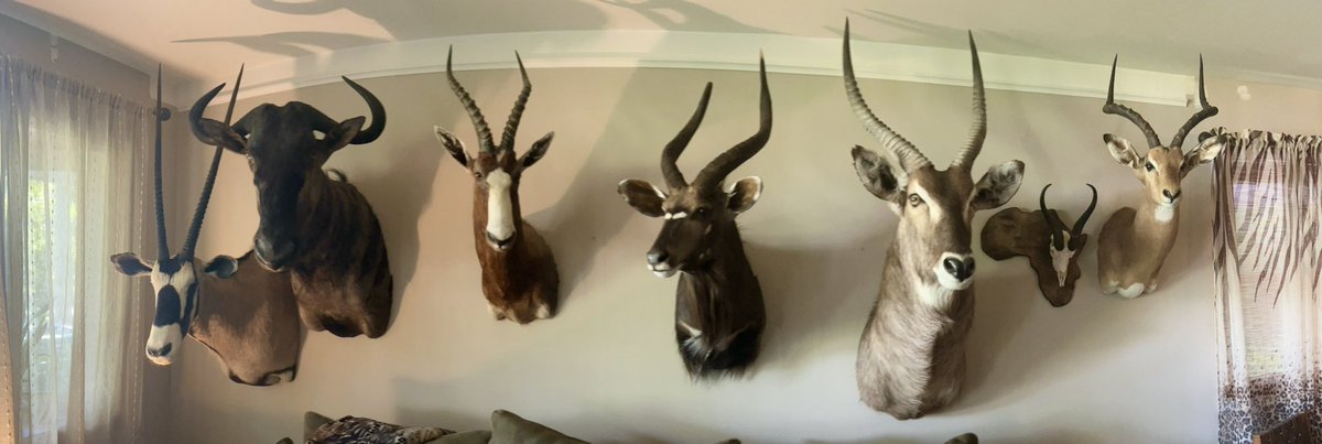 Paul_KMEOutdoors tweet media