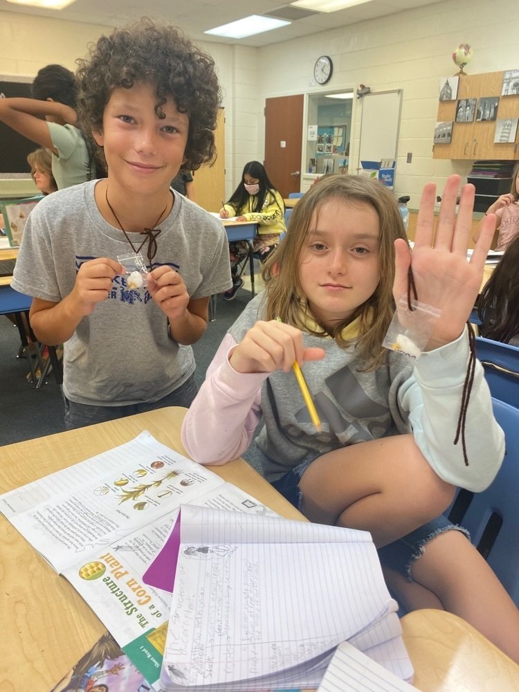 SeaWind Elementary tweet media