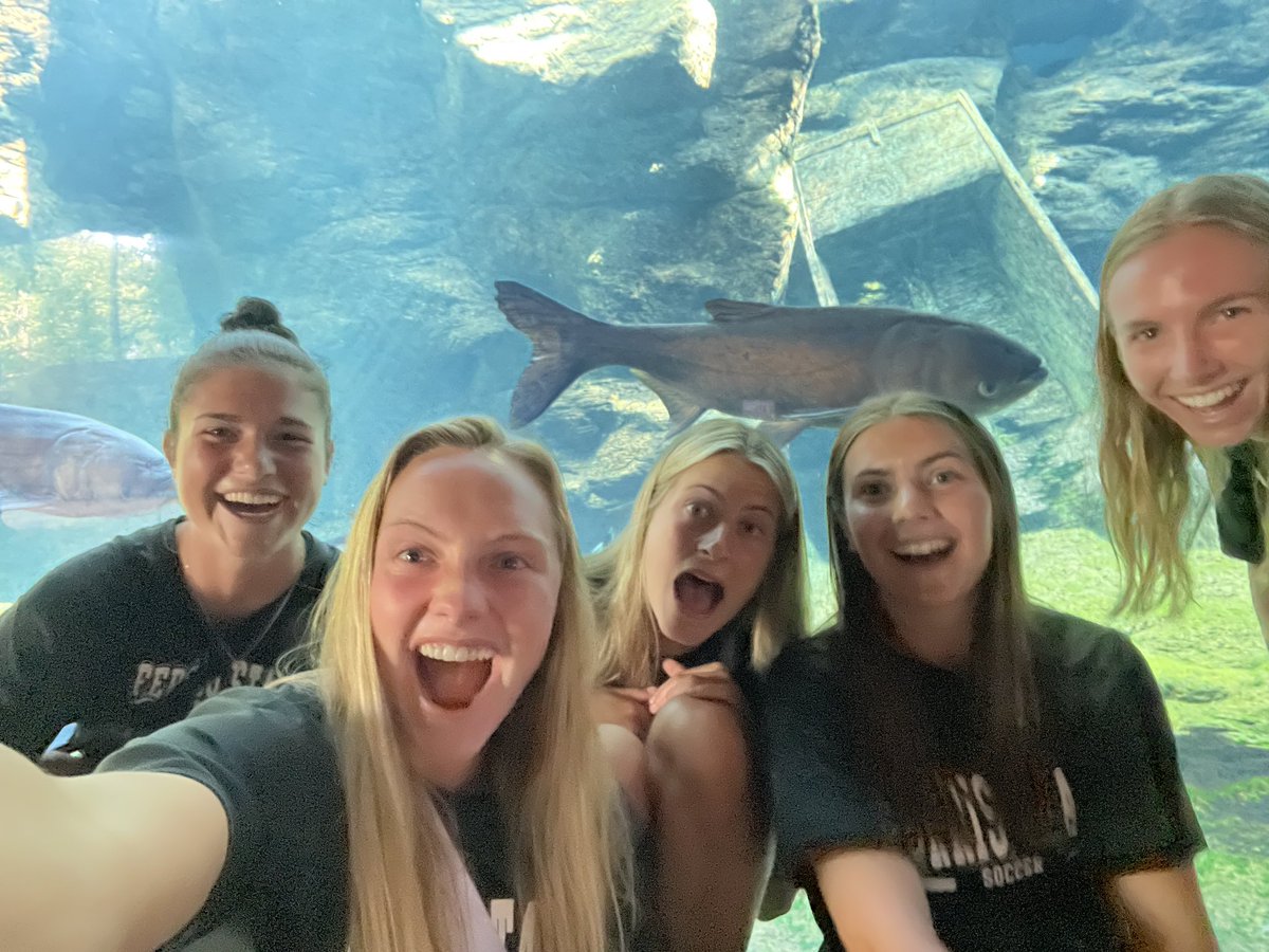 Ferris State Soccer tweet media