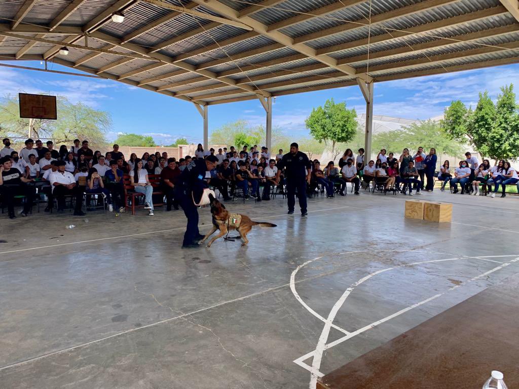 Roberto Estrella tweet media