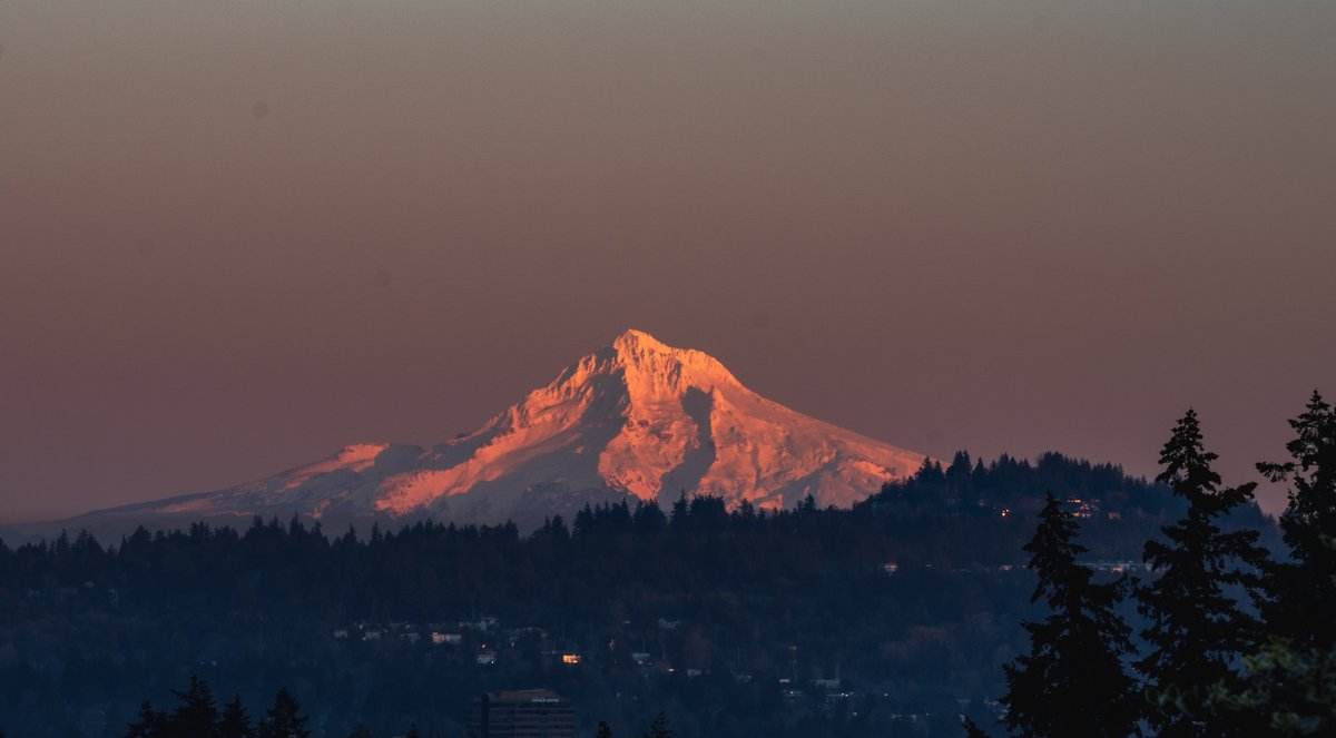CastellanosPho1's tweet photo. Pink Peak
#nature #naturephotographer #naturelover #oregon #oregonisbeautiful #oregonphotography #oregonhikes #OnlyInOregon #oregonisbeautiful #wander #wanderlust #wanderer #wandering #sony #sonyimages #sonycamera #sonyalpha #sonyalphasclub #sonyworlclub #sonyalphagallery https://t.co/6hWo0BwcwT