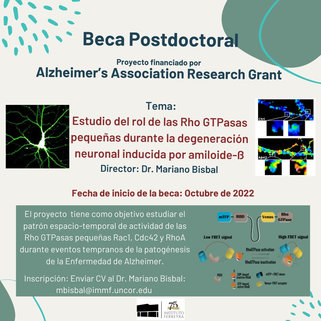 ✨Búsqueda de becario/a post-doctoral en laboratorio de Neurobiología 📢
📌La #beca está asociada a un subsidio Alzheimer’s Association Research Grant financiado por la <a href="/alzassociation/">Alzheimer's Association</a>
📅Inicio de la beca: Octubre de 2022
💫Enviá tu CV al Dr. Mariano Bisbal mbisbal@immf.uncor.edu