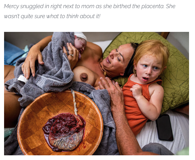 Sebastian tweet media