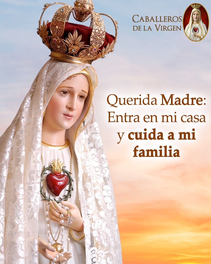 Caballeros de la Virgen tweet media
