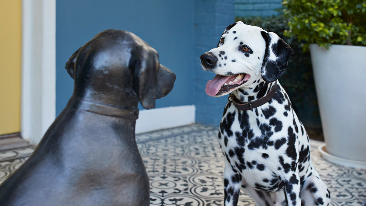 Nuvollo Corp. tweet media