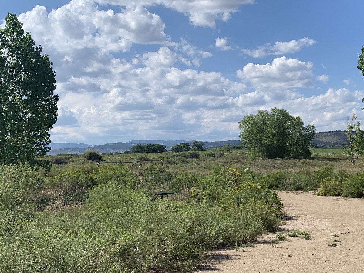 lynhicks's tweet image. Took a mid day bike ride for a few to reset! Small oxygenating activities through your day reset your energy. Great practice! #energymanagement #lymphsupport #holisticlife #healthylifestyle #reset #oxygenate #move