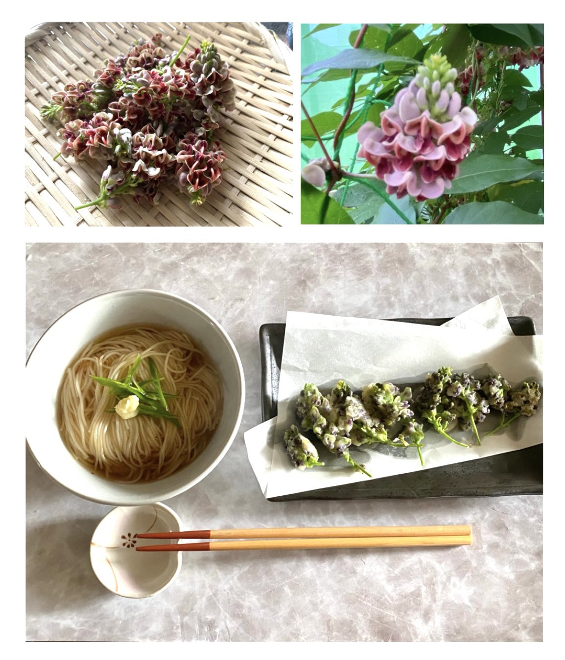 はなはな Hanahanasan222 Twitter