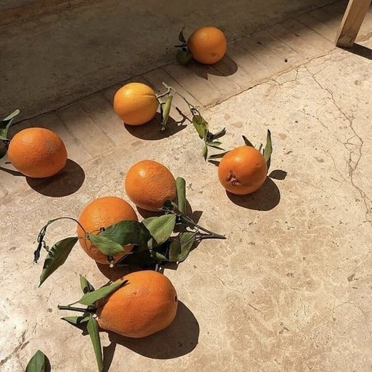 Still life, Oliver's style 🍊

#olivers