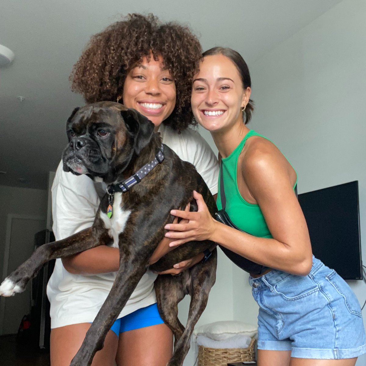 Illinois Softball tweet media