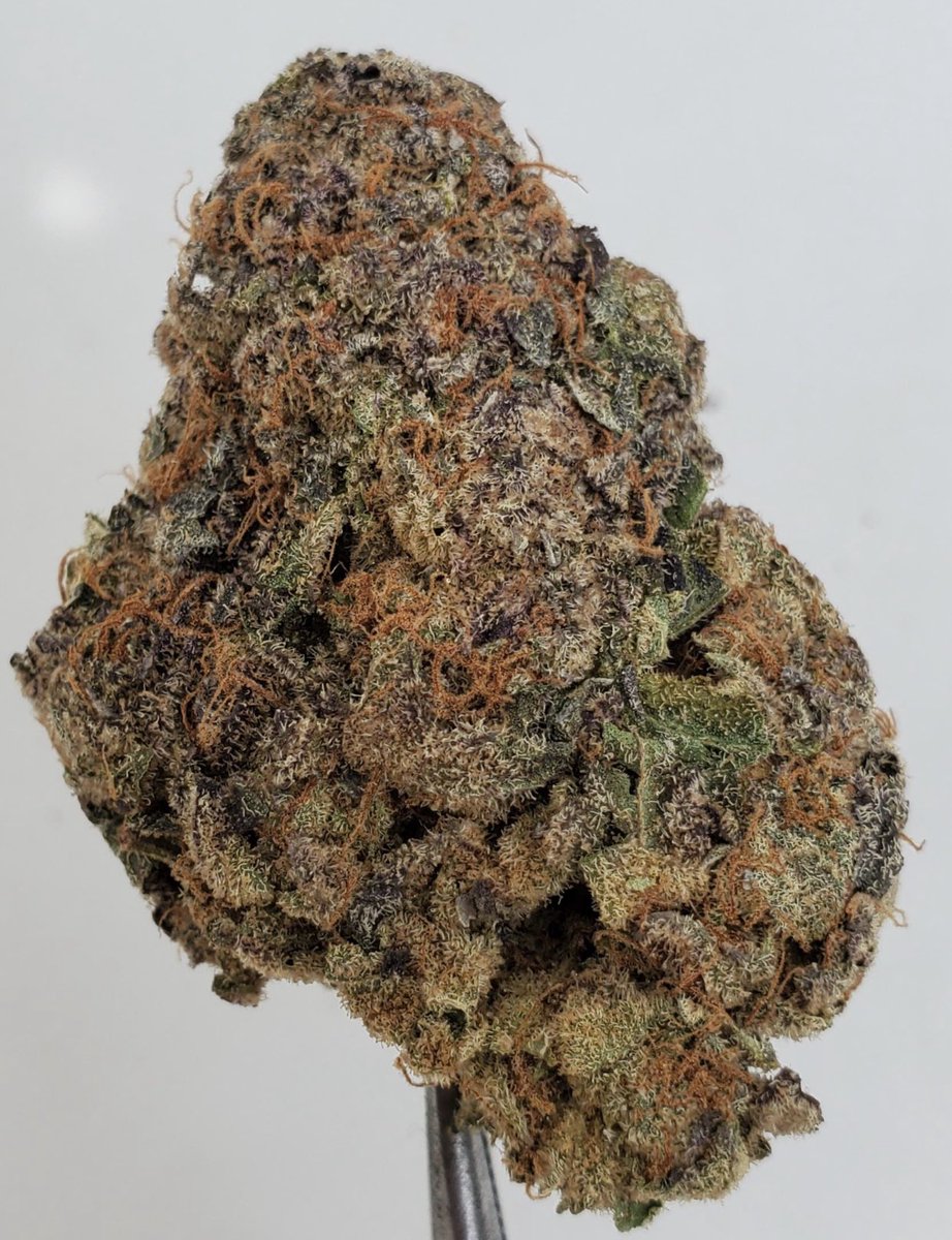 EmmaEdibles's tweet photo. Apple fritters *blue moon cannabis * August https://t.co/tTudn7CqFw