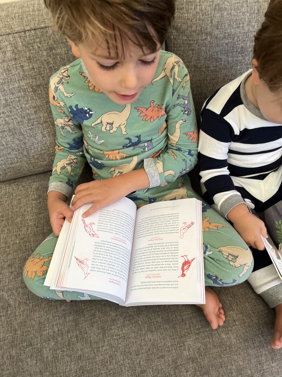 lisahlake's tweet image. Mr 4 is diving into your latest work! Congratulations ⁦@Zoe_Sadokierski⁩ ⁦@dieterhochuli⁩ on  A Guide to the Creatures in your Neighbourhood