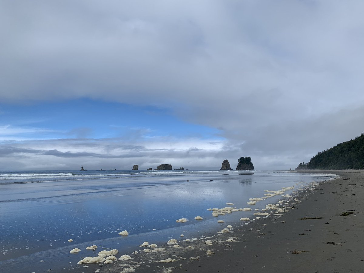 OriginalAndrewG's tweet photo. Backpacking for a few days with no screen to look at…glad to be home…but I loved waking up and falling asleep to this.

#pnw #secondbeach #washington #homesweethome #mybackyard https://t.co/4ffDzE1wJe