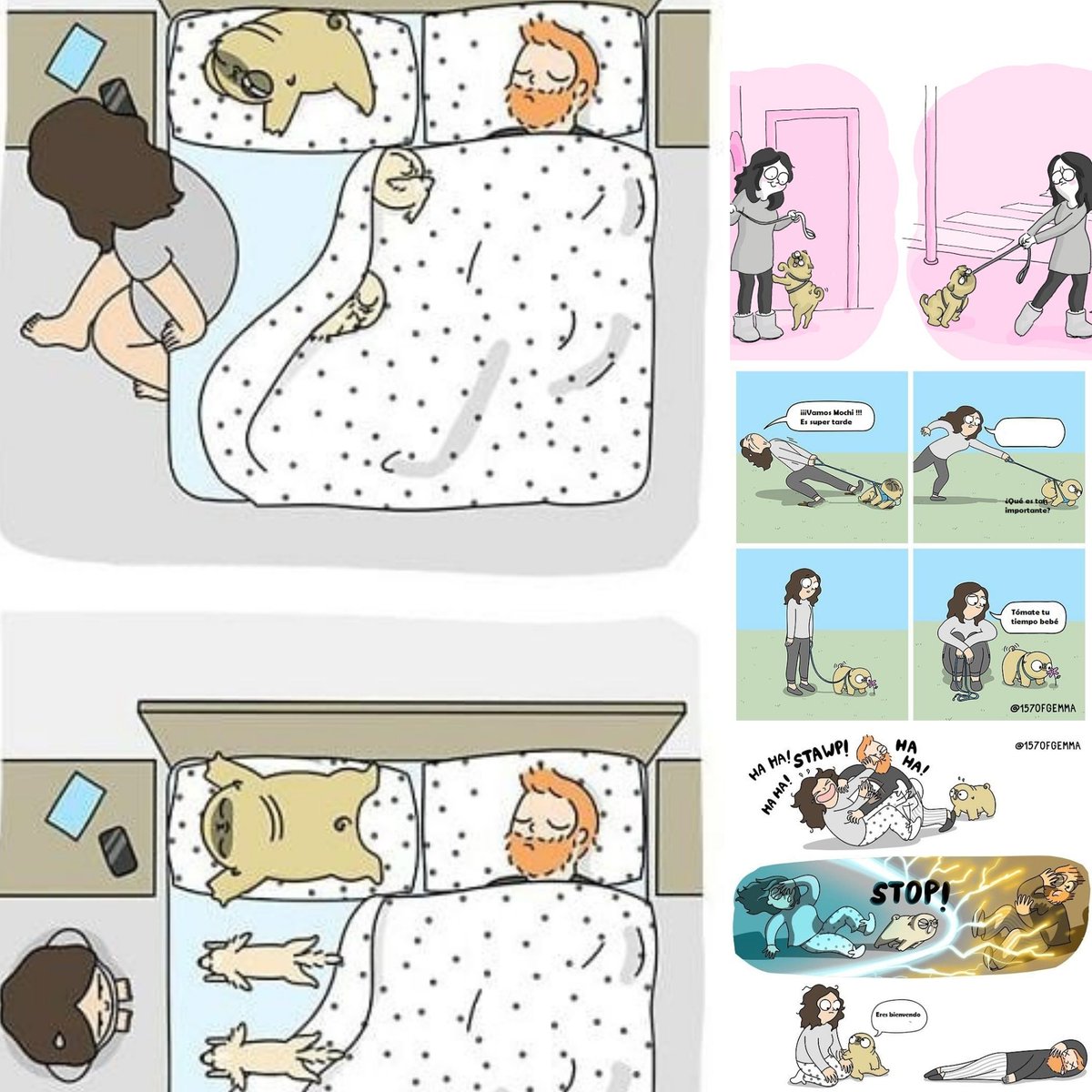WithMyLadies1's tweet photo. La artista Gemma ilustra en dibujos animados cómo es realmente vivir con un perro, desde la aterradora hora del baño hasta la hora de las caricias.  🤩👀