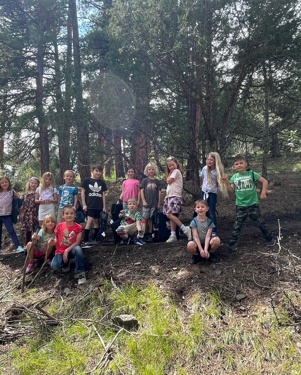 TJ Bonham tweet media