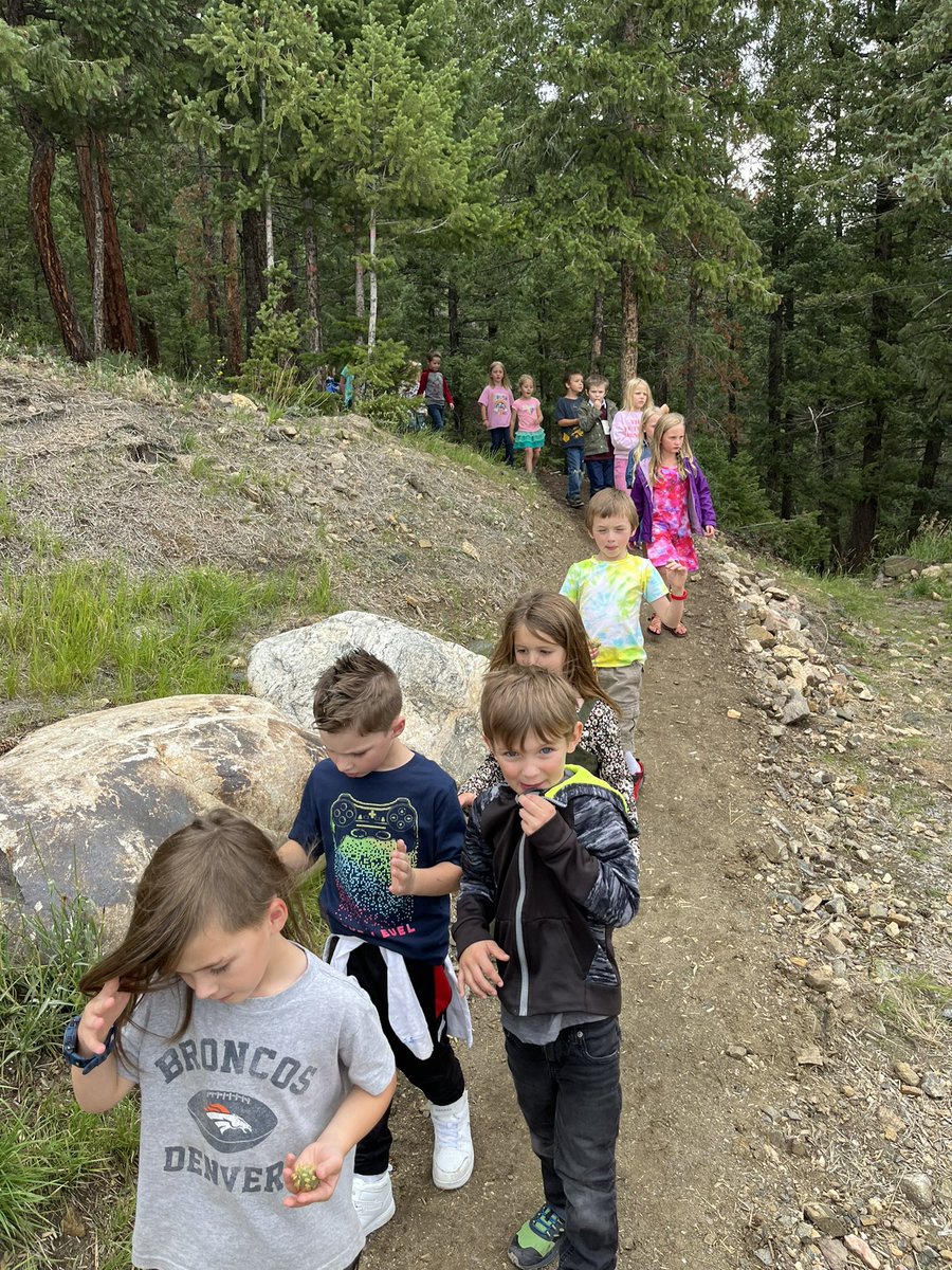 TJ Bonham tweet media