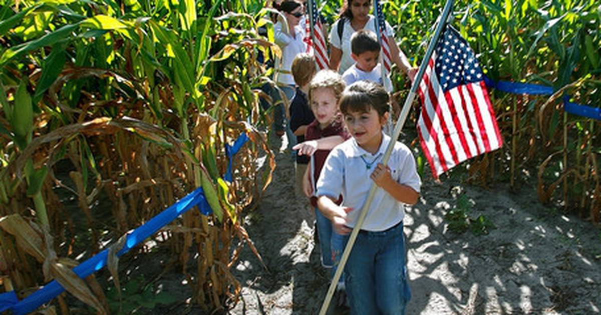 Dewayne Bevil on Twitter: