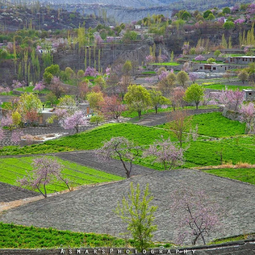 Spring beautiful