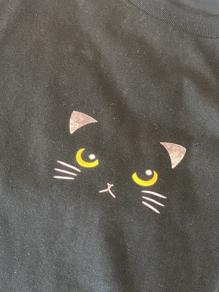 イルカのTシャツ屋さん、陸上生物出張版【ねこT】が爆売れ中〜😻
#猫 #Tシャツ #イルカ