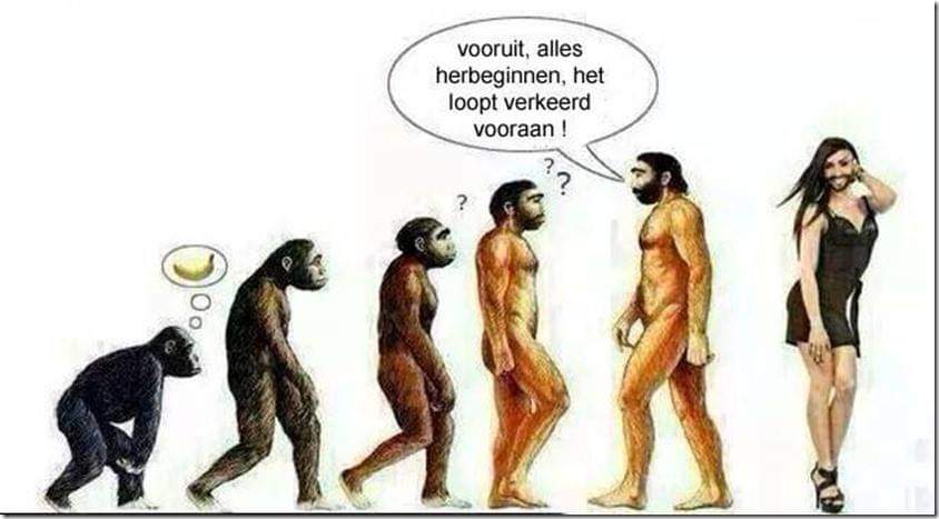 doeterniettoe tweet media