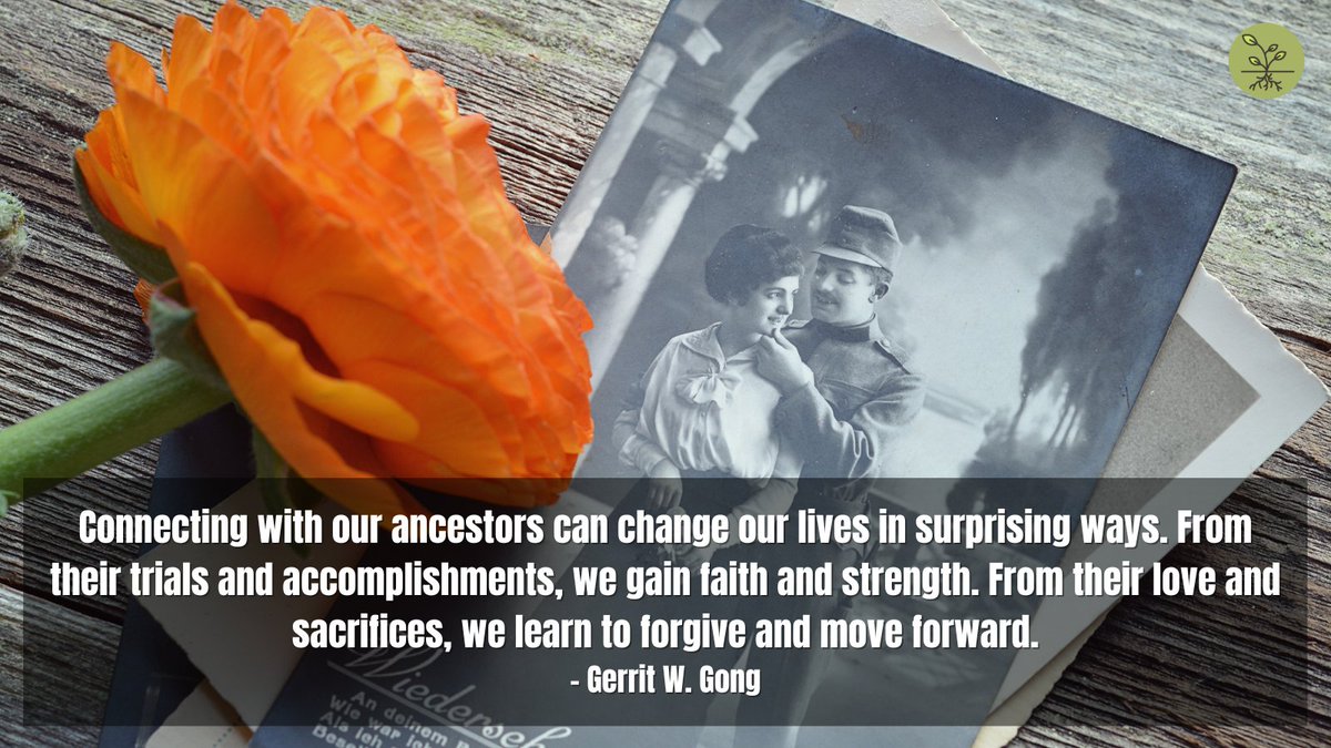 Roots_View's tweet photo. https://t.co/fgJgiwUs8g