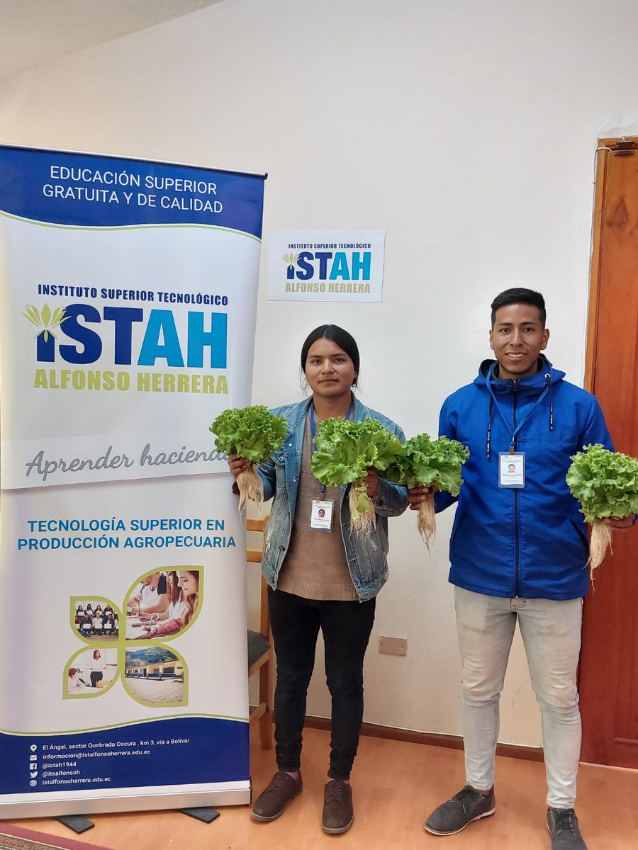 itsalfonsoh's tweet photo. Por una agricultura limpia y tecnológica (Producción de lechugas hidropónicas), así se forman los estudiantes en la Tecnología Superior en Producción Agropecuaria.
@amontalvoch @ceciliasantanae @FranciscoVaca8 @Karlada16049775 @diegoferquelal @MemoRomero88 @RenaMonterosP https://t.co/90LdBbwUhC