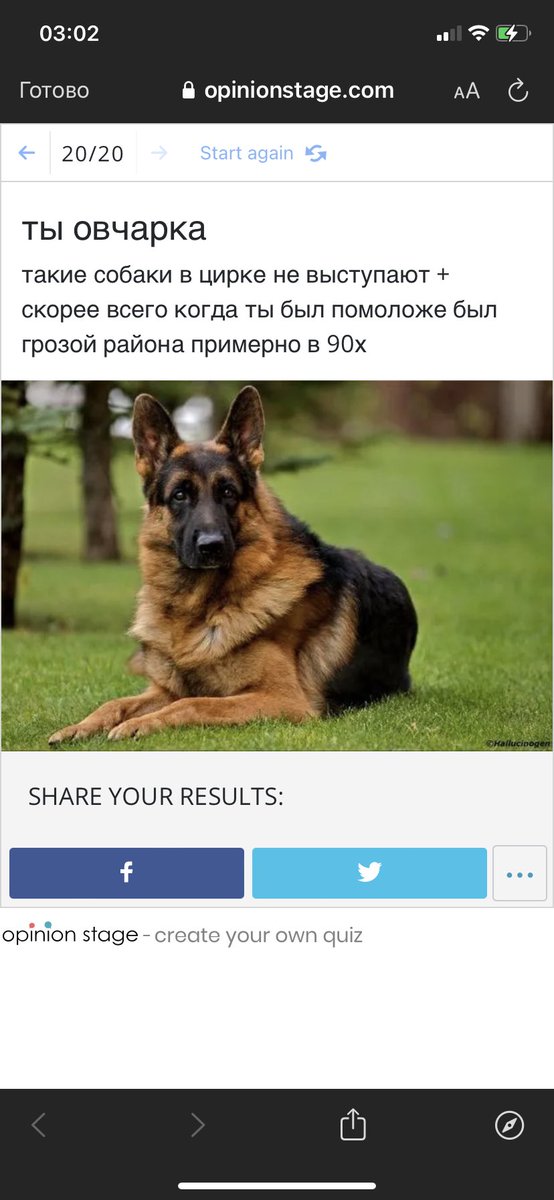 marifyod's tweet photo. @chtozaparen пон https://t.co/fWOBd3pOqF