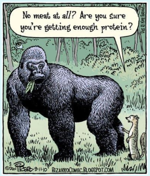 veganfuture's tweet photo. https://t.co/RuH86eBGIw