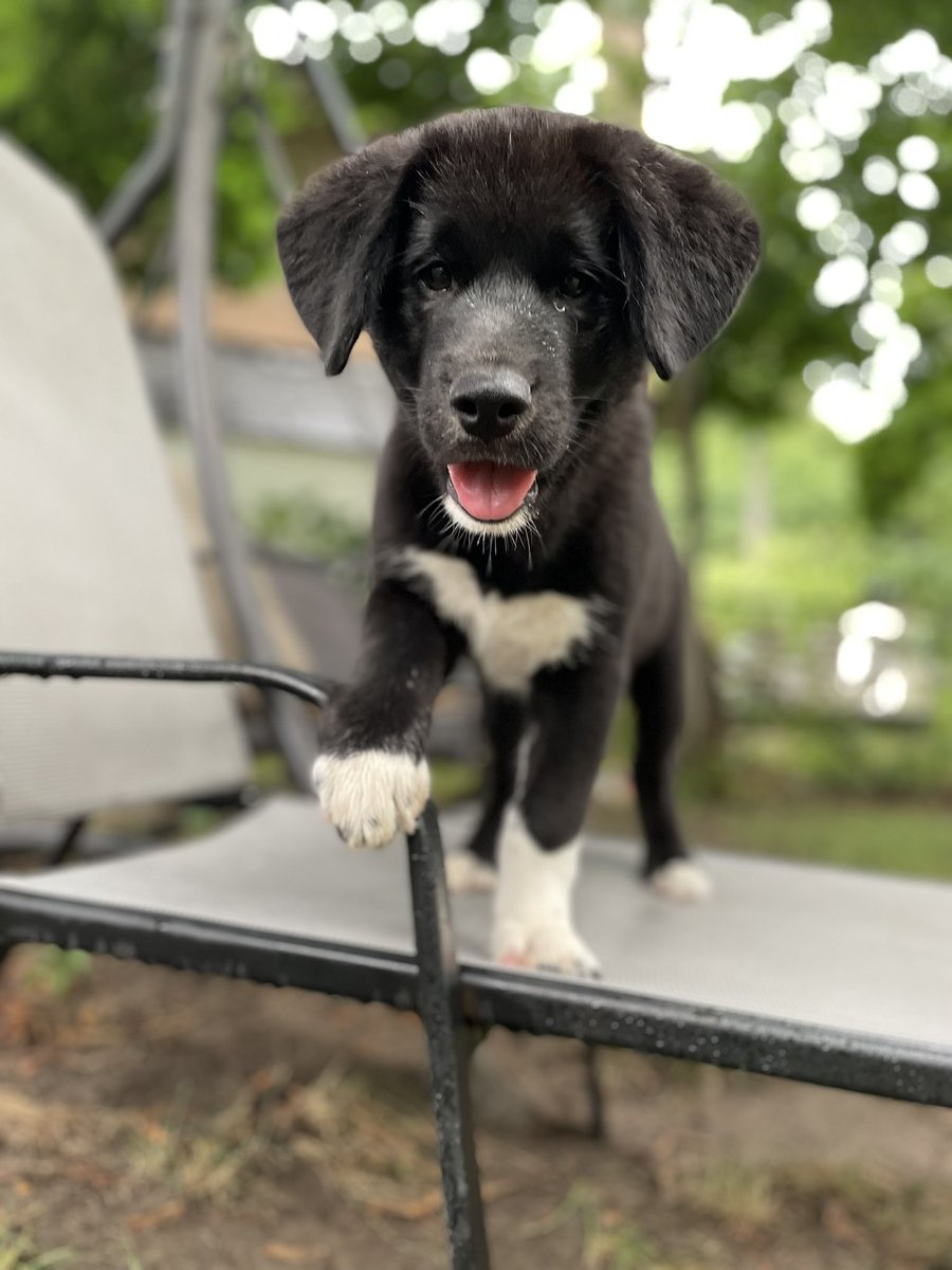 ItsBrody__'s tweet photo. Super Cooper https://t.co/dU2KS4cizr
