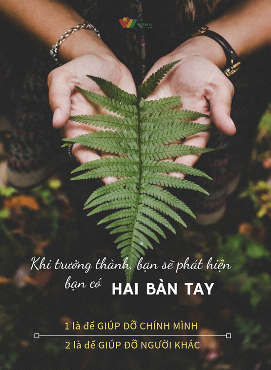 GroupWaha's tweet photo. Khi trưởng thành, bạn sẽ phát hiện bạn có HAI BÀN TAY:
1 là để GIÚP ĐỠ CHÍNH MÌNH
2 là để GIÚP ĐỠ NGƯỜI KHÁC.

XEM THÊM TẠI ĐÂY: https://t.co/NzNHyN58vE
#quotes #haveagoodday #followforfollowback #follow #waha https://t.co/asTlm4wjUM