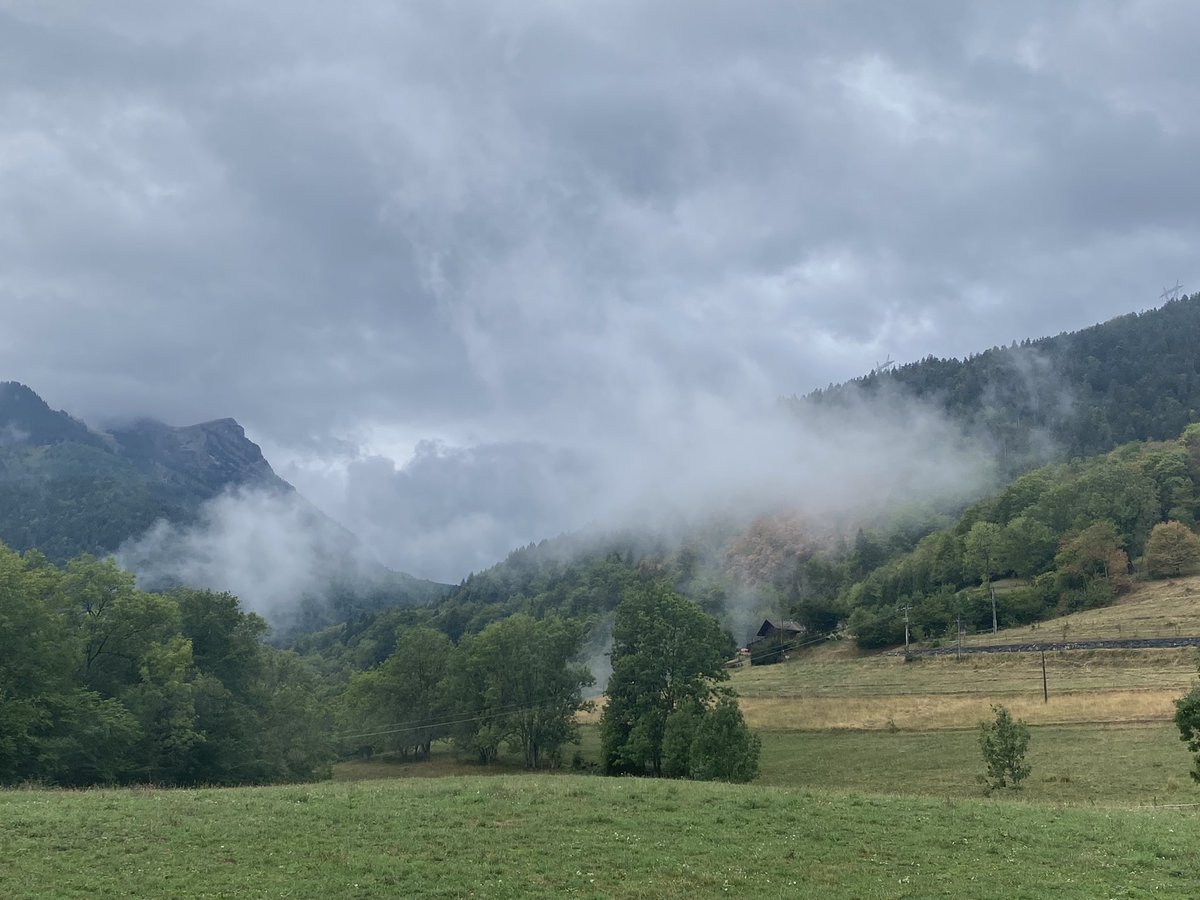 Si je pouvais repartir dans ce coin. Ces filaments de nuages sur les collines alentours. Les promenades dans la forêt n’en sont que plus appréciables.